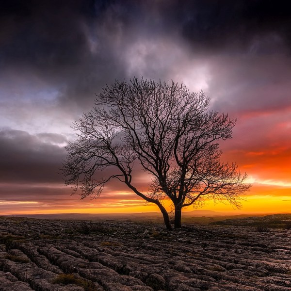 In Everything Give&nbsp;Thanks